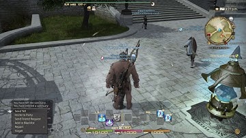 ffxiv in a nutshell