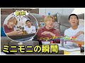 【BTS 日本語字幕】ミニモニのベストモーメント | 防弾少年団ナムとジミンの瞬間