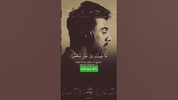 قل ان كنتم تخفو مافي صدوركم #تلاوة_خاشعة #اسلام_صبحي #قرآن #explore #اكسبلور #funny #متابعه #quran