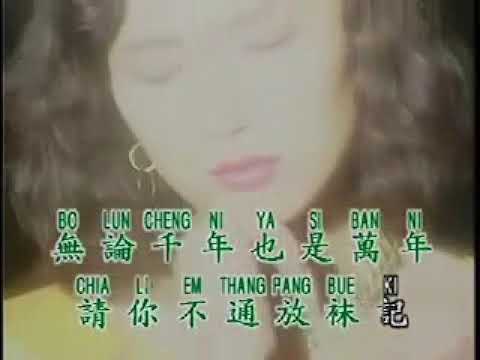 沈文程 - 一條手巾仔  ( 東東 )  翻唱