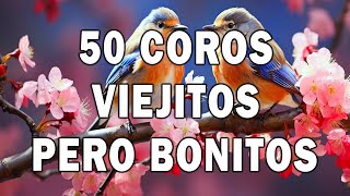 COROS VIEJITOS PERO BONITOS 🙏 COROS PENTECOSTALES 🤲 MAS DE 50 COROS AVIVAMIENTO PENTECOSTAL