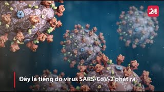 Âm nhạc phát ra từ virus Sars-CoV-2| VTV24