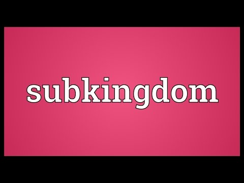 Header of subkingdom