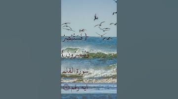 سورة القلم ايه رقم ٥