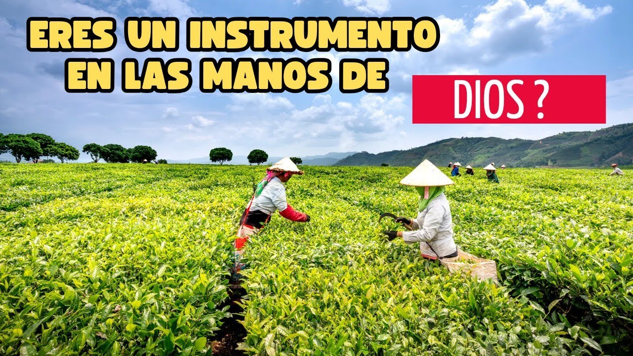 Eres un INSTRUMENTO en las manos de DIOS 💪 - YouTube
