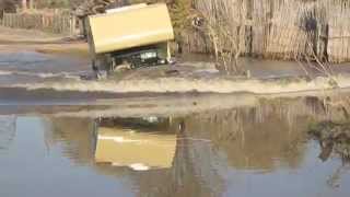 Water Crossing In Moremi Game Reserve, Botswana