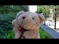 【ゆっくり】おかげさまで【ただいま】