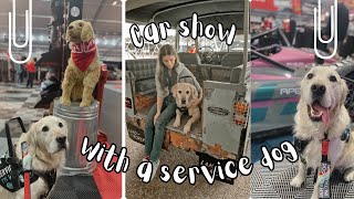 Car show with a service dog!