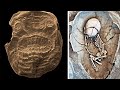 Находка археологов в древнем захоронении возмутила историков