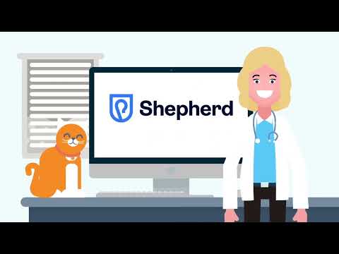 Shepherd Veterinary Software Login