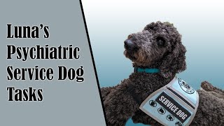 My Service Dogs Psychiatric Tasks