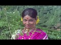 Malenada Henna Mai Banna - HD Video Song - Bhootayyana Maga Ayyu - Dr.Vishnuvardhan - Bhavani Mp3 Song