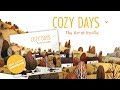Cozy Days – The Art of Iraville (my new artbook)! thumbnail