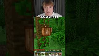 Cocoa Beans