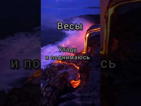 знаки зодиака как строчки песен 🎵#shorts Градусы "Режиссёр"