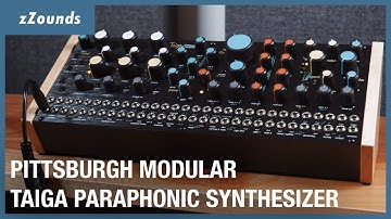Pittsburgh Modular Taiga Paraphonic Analog Synthesizer | zZounds