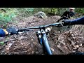 Can&#39;t see the forest for the trees. Especially when you crash into them | Mountain eBiking