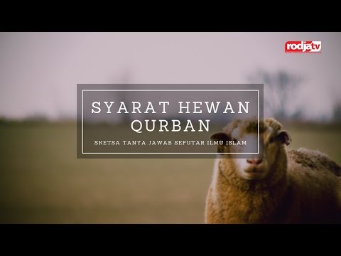 30 Trend Terbaru Gambar Sketsa  Hewan  Sapi Dan Kambing 