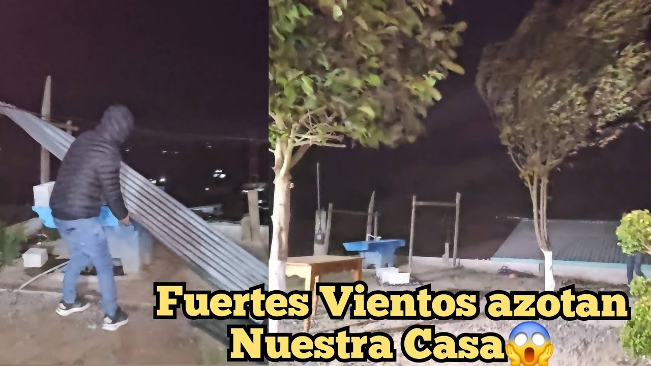 Fuertes Vientos se llevaron  Las Láminas De la Casa  En plena Noche😱Por poco se cae el Arbol