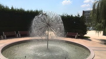 Huawei Ascend P6 Sample Video