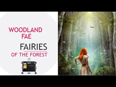 Woodland Fae: Fairies of the Forest