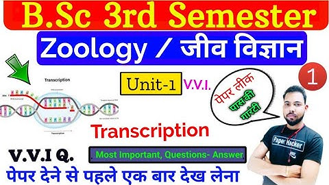 Bsc 3rd Semester Zoology,Unit  1,  Transcription, Bsc 3rd sem zoology important question,Paperhacker