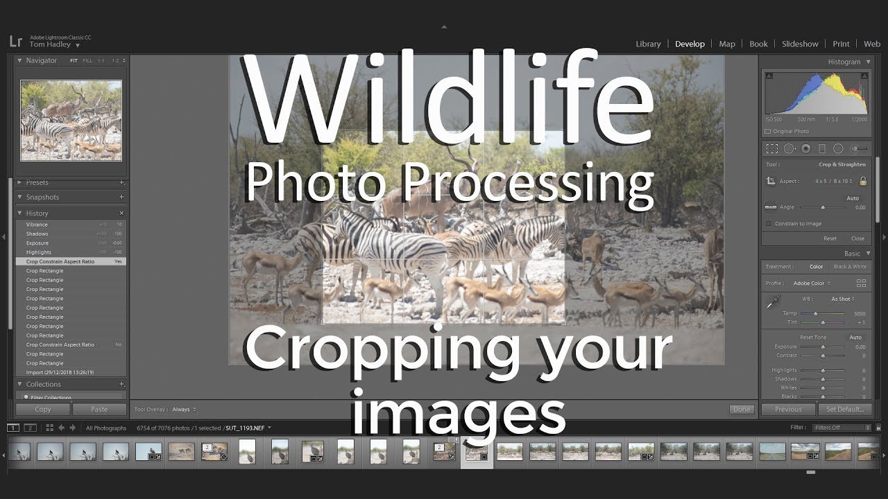 video editing software free How to CROP your WILDLIFE PHOTOGRAPHY images