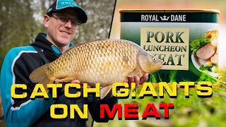 Catch Giants on Meat | Bradley Gibbons