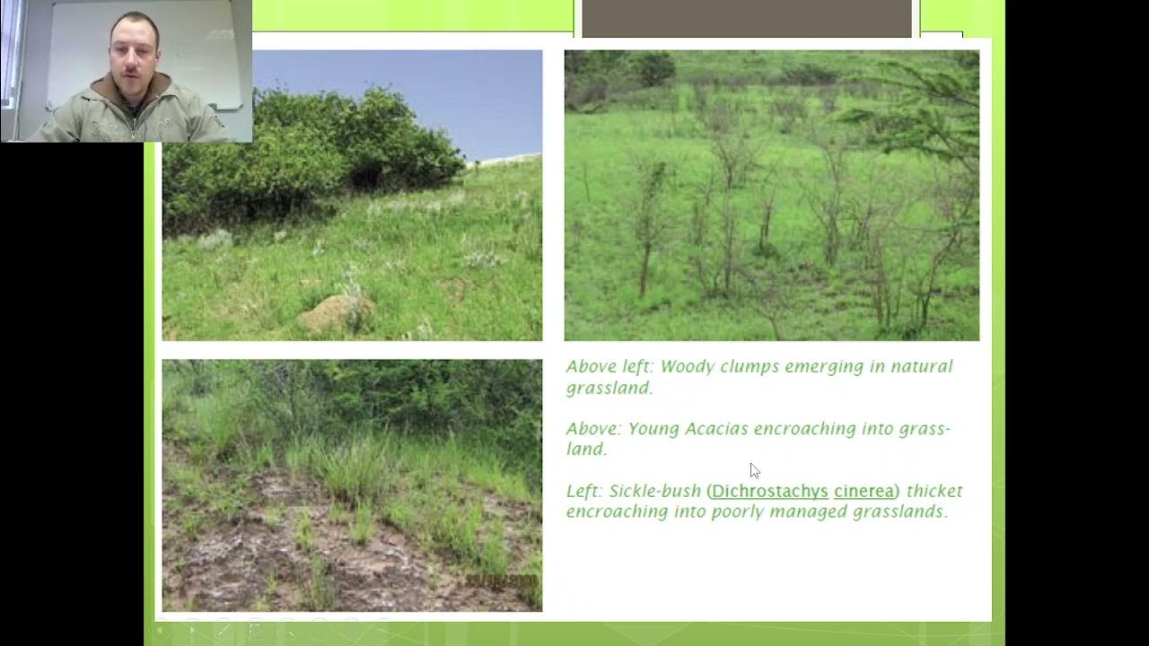 Theme 10 A Bush encroachment YouTube