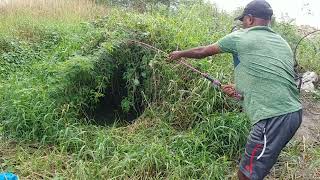 Catching Four Types Of Fisheschitala Fish Tilapia Fishindian Eel Cat Fishawsome Fishing