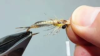 Tying a super simple mayfly nymph fly pattern. Hexagenia, Litobrancha,  Ephemera burrowing mayflies.