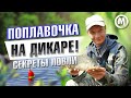 На поплавочку осенью! Секреты ловли на ДИКАРЕ!  ИТОГИ КОНКУРСА!