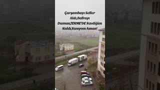 Davut Güloğlu ~ Çarşambayı Seller Aldı