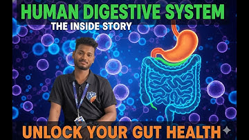 What Happens Inside Your Gut? By Ashish sir #neet #jee #biology