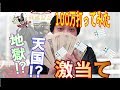 【検証】有馬記念に100万円賭けてみた!