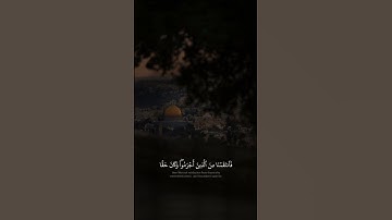 وَلَقَدۡ أَرۡسَلۡنَا مِن قَبۡلِكَ رُسُلًا إِلَىٰ قَوۡمِهِمۡ | محمد صديق المنشاوي | سورة الروم