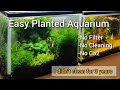 How to set up Planted Aquarium? For beginners!#plantedfnanoaquarium #plantedaquarium  #plantedtank