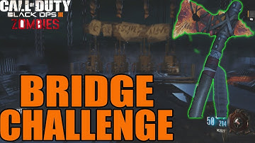 BLACK OPS 3 CUSTOM ZOMBIES 