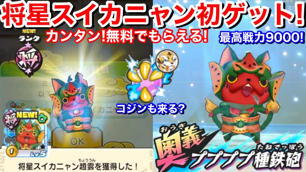 無料！将星スイカニャン！初ゲット！入手方法限定ビンゴ 最高戦力9000