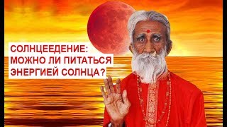 Солнцеедение можно ли питаться энергией солнца