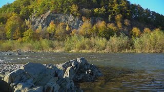 видео: Річка Бистриця Надвірнянська картинка: Річка Бистриця Надвірнянська