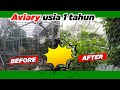 AMAZING ..!! AVIARYKU INI SETAHUN LALU MASIH GERSANG, SEKARANG JADI BELANTARA - ALHAMDULILLAH