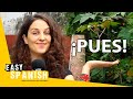 How to Use "Pues" in Spanish | Super Easy Spanish 40