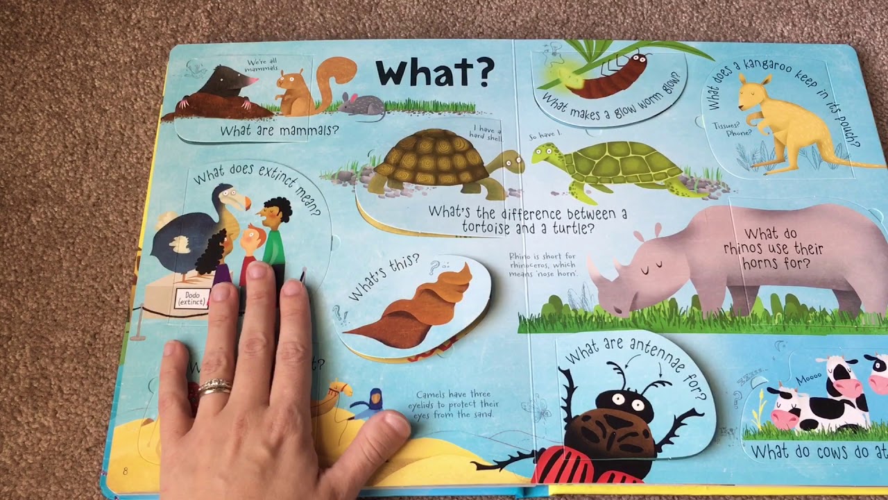 Usborne Questions and Answers about Animals (lift the flap) - YouTube