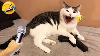 Hilarious Cats and Dogs😹🐶Funniest Animals 2024😻Part 8