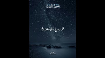 ما تيسر من سورة (الحديد) بصوت الشيخ ياسر الدوسري ❤️
