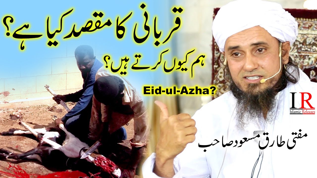 Qurbani Ka Maqsad Kia Hai? Hum Kion Karte Hen Qurbani?, Mufti Tariq Masood, IR Official