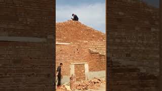Constructor #shorts