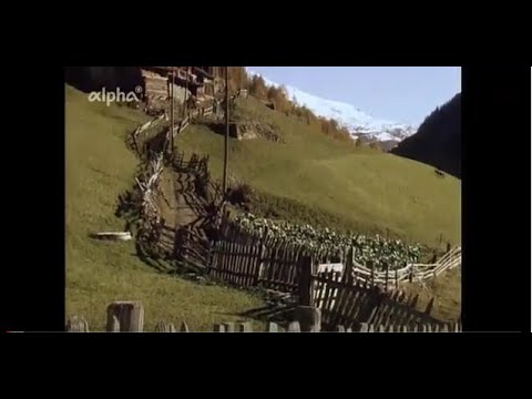 Video: Was bedeutet der Zaun bei Zäunen?