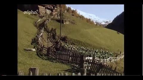 Topographie  Der Zaun (1981)